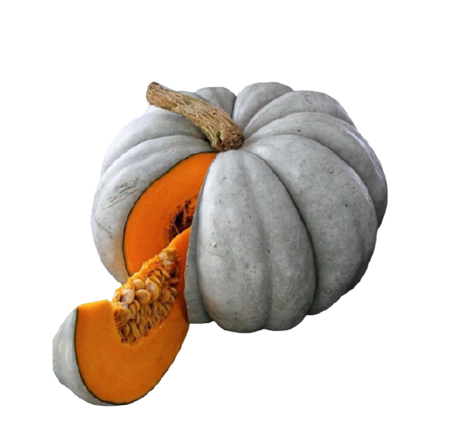 Soyulmuş Dilimlenmiş Tatlı Bal Kabağı Nereden Satın Alınır?