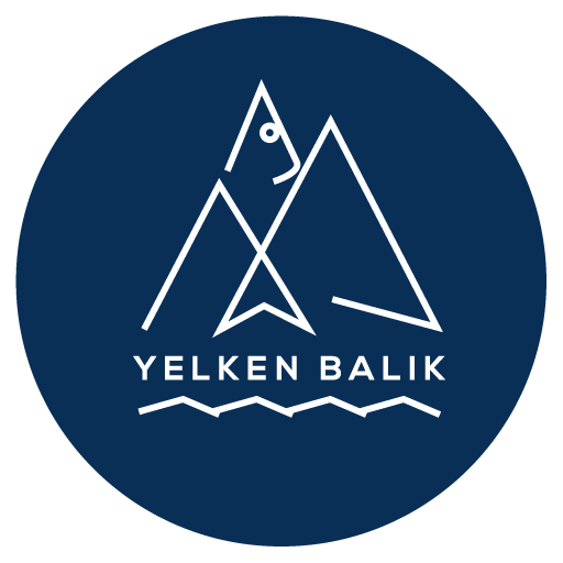 Yelken Balık