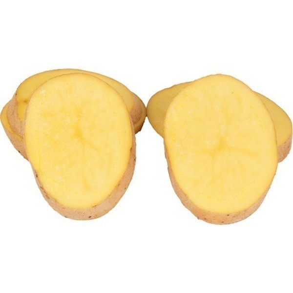 Afyon Patatesi Nereden Satın Alınır?